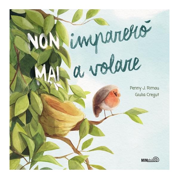 (Non) imparerò (mai) a volare