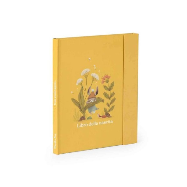 Trois petits lapins - Libro nascita