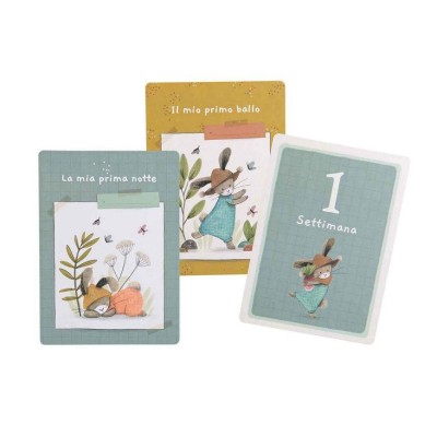 Trois petits lapins - I miei primi 12 mesi - cofanetto carte