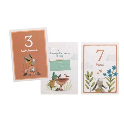 Trois petits lapins - I miei primi 12 mesi - cofanetto carte